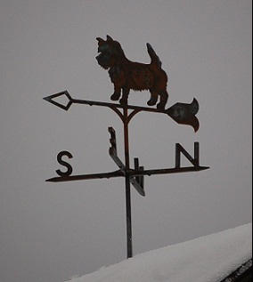 Cairn Terrier Weather Vane ~ essentialiron.com